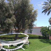 фото из отзыва ID 2622178