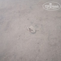 фото из отзыва ID 2622259