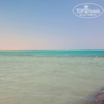 фото из отзыва ID 2622262