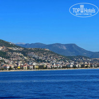 фото из отзыва ID 2620210