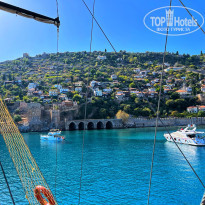 фото из отзыва ID 2620210