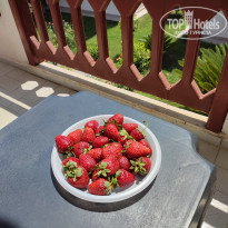 фото из отзыва ID 2622221