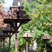 фото из отзыва ID 2622724