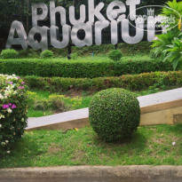 фото из отзыва ID 2622740