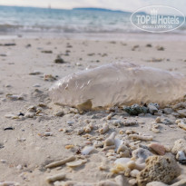 фото из отзыва ID 2622740