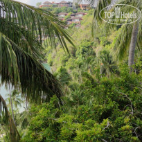 фото из отзыва ID 2622740