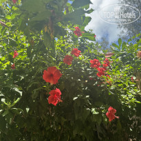 фото из отзыва ID 2622871