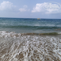 фото из отзыва ID 2622903