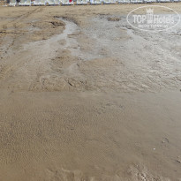 фото из отзыва ID 2622903