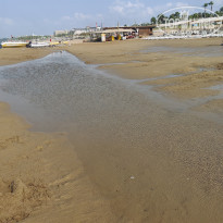 фото из отзыва ID 2622903