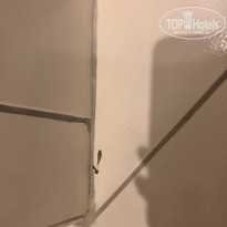 фото из отзыва ID 2622988