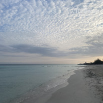 фото из отзыва ID 2623084