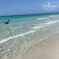 фото из отзыва ID 2623084