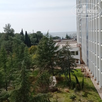 фото из отзыва ID 2623255