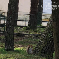 фото из отзыва ID 2623255