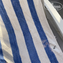 фото из отзыва ID 2623176