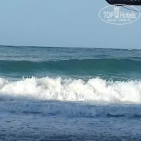 фото из отзыва ID 2623270