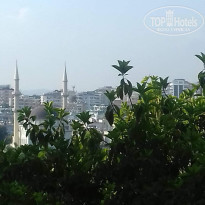 фото из отзыва ID 2623270