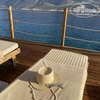 фото из отзыва ID 2623208