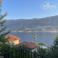 фото из отзыва ID 2623208