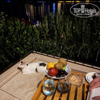 фото из отзыва ID 2623208