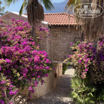 фото из отзыва ID 2623208