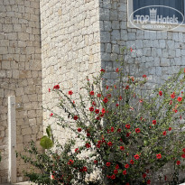 фото из отзыва ID 2623208