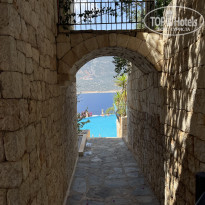 фото из отзыва ID 2623208