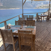 фото из отзыва ID 2623208