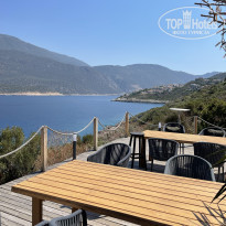 фото из отзыва ID 2623208