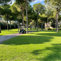 фото из отзыва ID 2623648