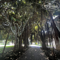 фото из отзыва ID 2623648