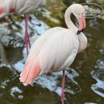 фото из отзыва ID 2623648