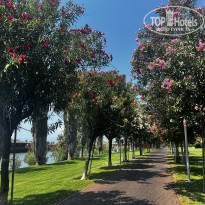 фото из отзыва ID 2623648