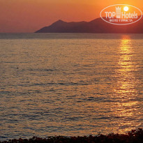 фото из отзыва ID 2624103