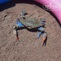 фото из отзыва ID 2622060