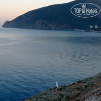 фото из отзыва ID 2624350