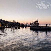 фото из отзыва ID 2624384