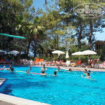 фото из отзыва ID 2624650