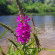 фото из отзыва ID 2624805