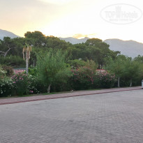 фото из отзыва ID 2624895