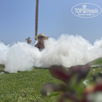 фото из отзыва ID 2625006