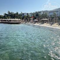 фото из отзыва ID 2625146