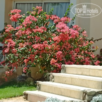 фото из отзыва ID 2625213
