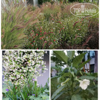 фото из отзыва ID 2625215