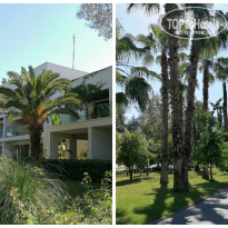 фото из отзыва ID 2625215