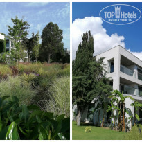 фото из отзыва ID 2625215