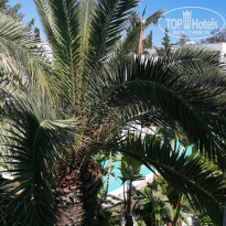 фото из отзыва ID 2625215