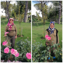 фото из отзыва ID 2625215