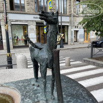 фото из отзыва ID 2624273